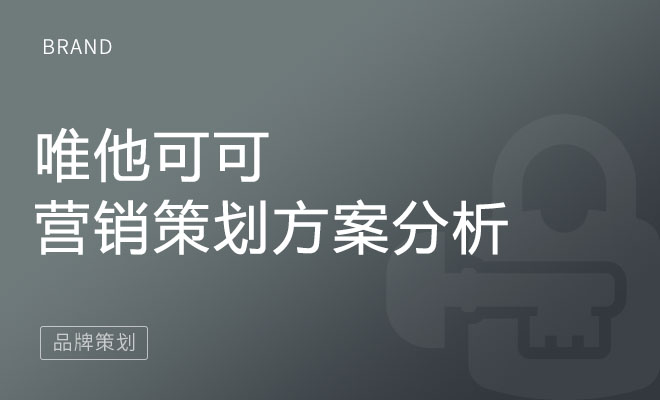 唯他可可的营销策划方案分析