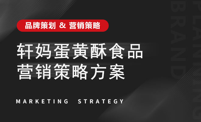 轩妈蛋黄酥食品营销策略方案
