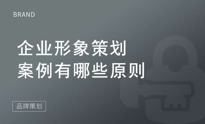 企业形象策划案例有哪些原则