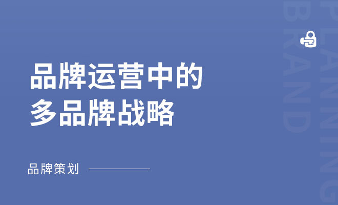 品牌运营中的多品牌战略