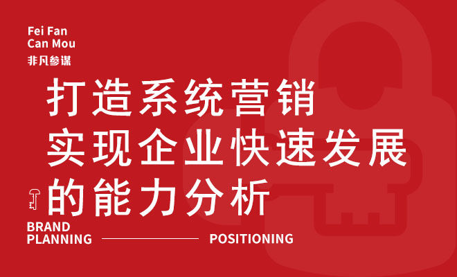 打造系统营销实现企业快速发展的能力分析