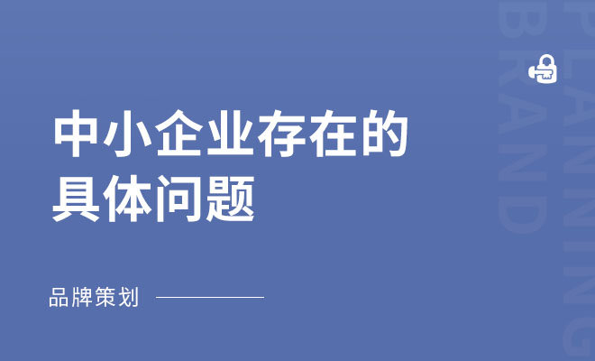 中小企业存在的具体问题