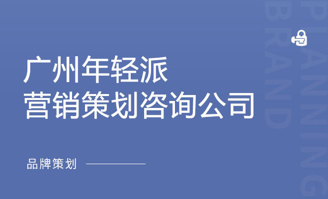 年轻派营销咨询_广州年轻派营销策划咨询公司