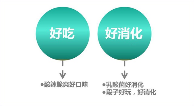 双汇品牌全案策划案例