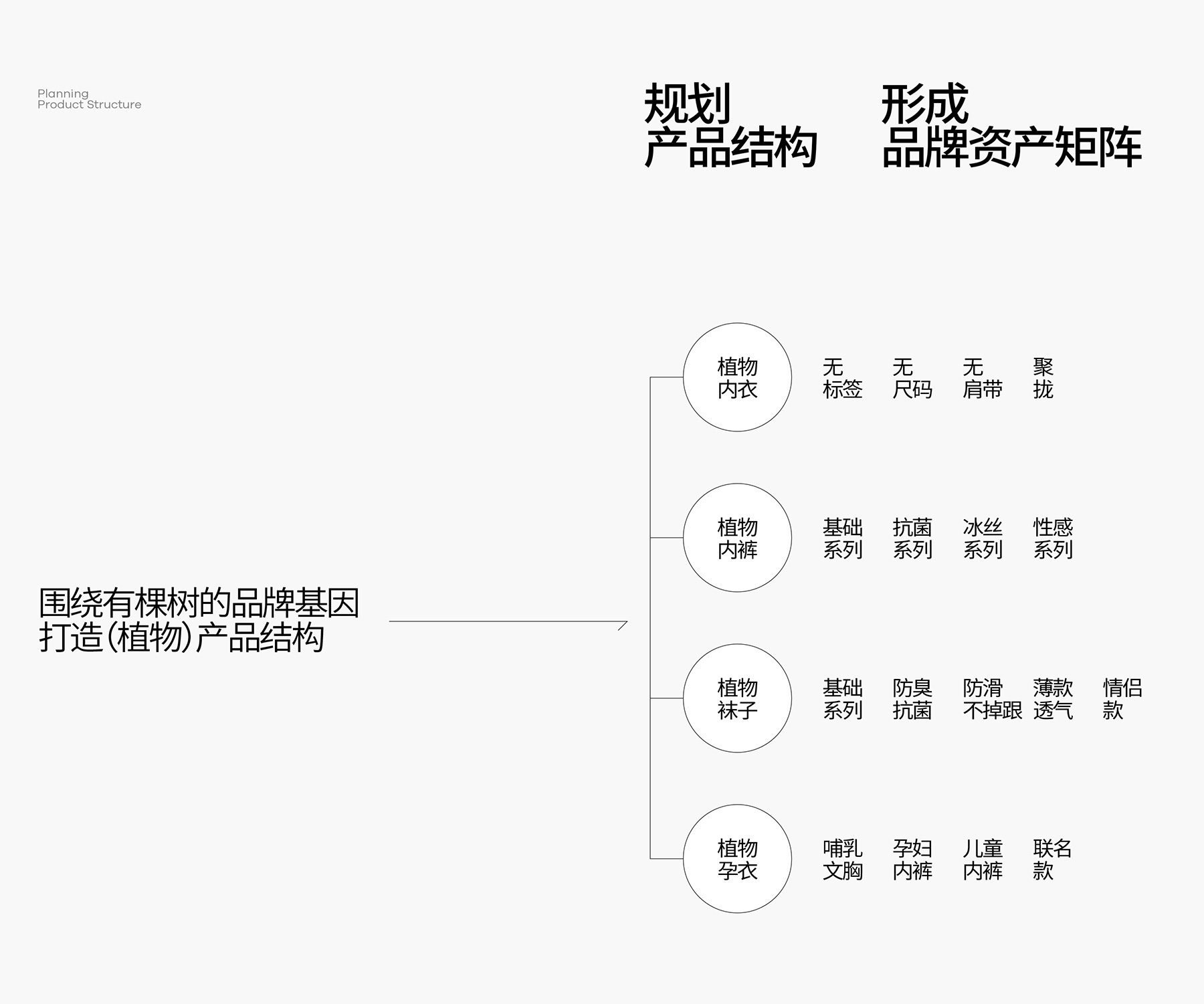 有棵树内衣品牌全案策划设计