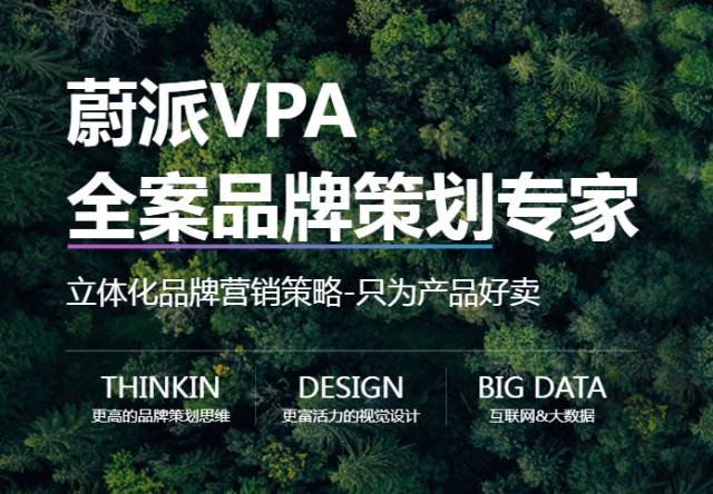 上海蔚派VPA品牌策划