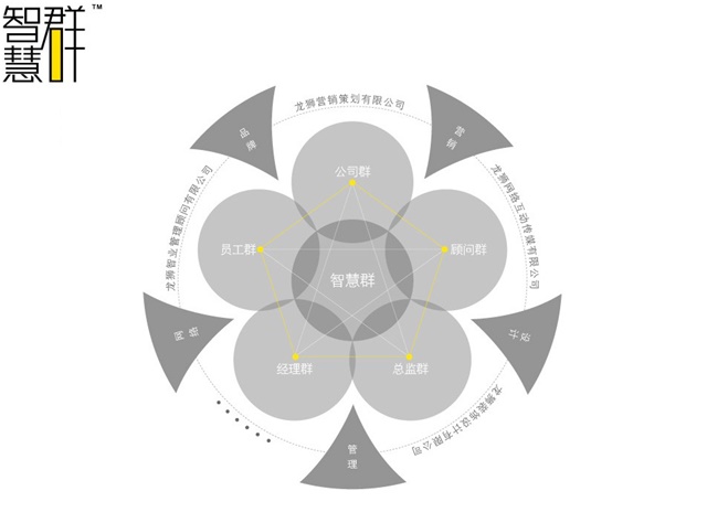 龙狮品牌定位策划