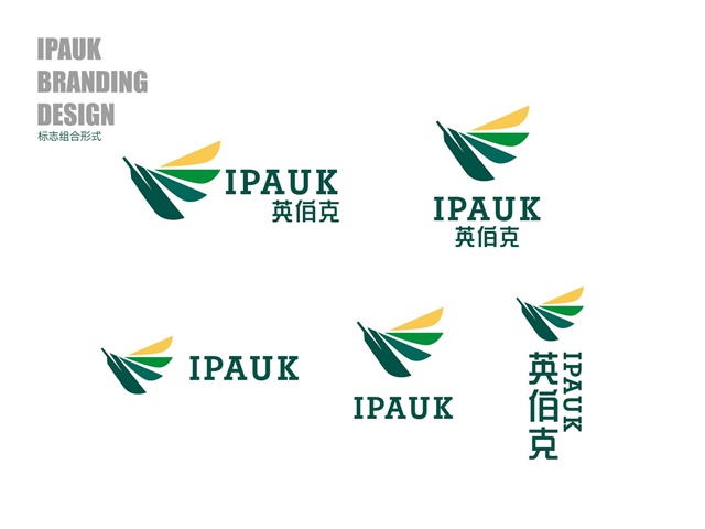 印度板球IPAUK品牌logo设计