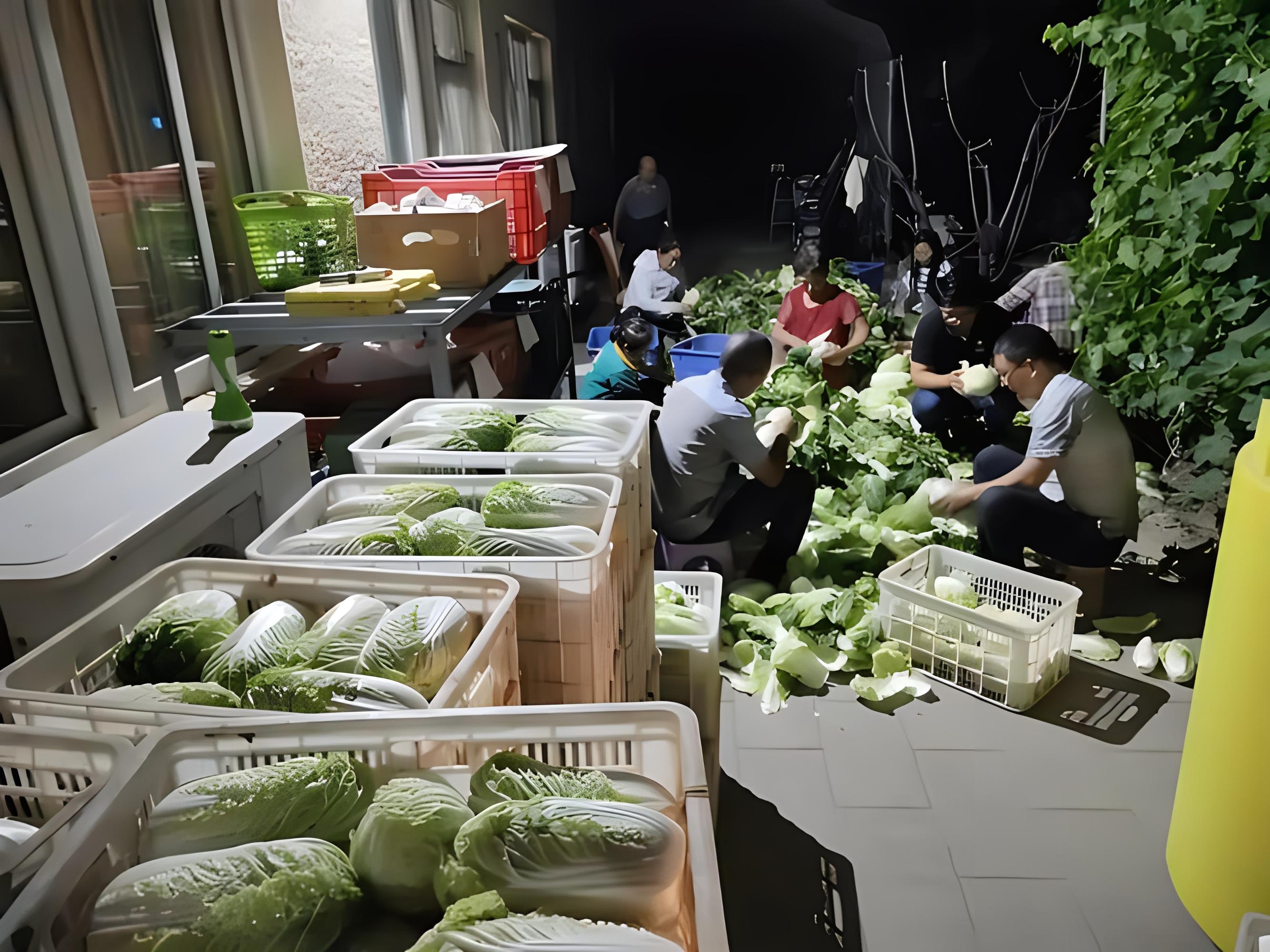 有机食品品牌策划方案