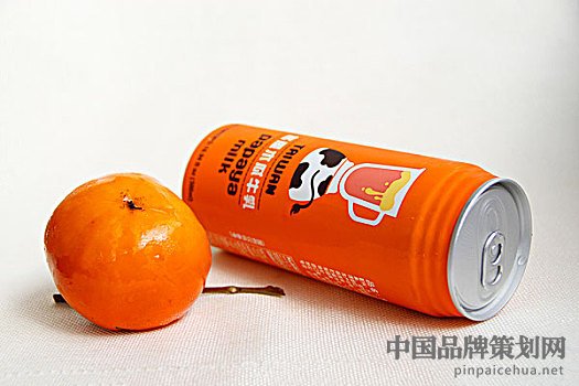 品牌案例策,品牌案例策划条件,品牌策划问题